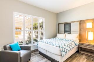 Sea Esta Studio II - Ocean Views from Pool! - Turtle Cove - 7