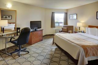 Comfort Inn - Rimouski - 3