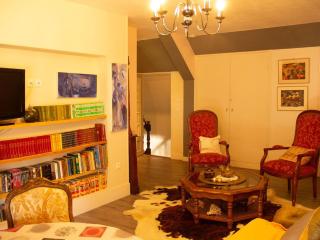 Gîte spacieux au cœur du Val de Loire, entre Orléans et Blois, avec jardin, cour fermée et BBQ ! - FR-1-590-106 - Tavers - 7