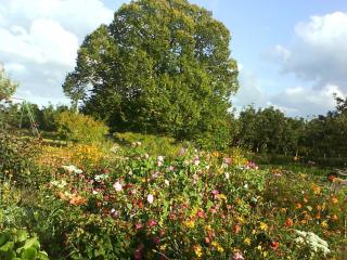 Gîte Champêtre avec Piscine Chauffée, Cheminée, et Terrasse en Plein Sud - FR-1-410-131 - 4