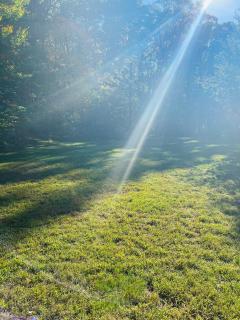 Golden Hill Oasis - 7