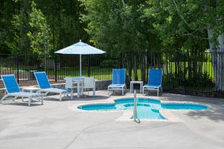 Lithia Springs Resort - 4