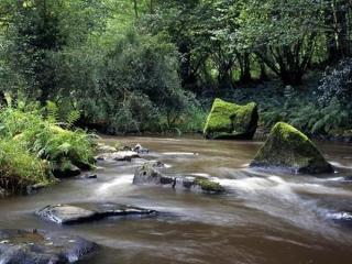 Glamping des 2 Marguerites - Bazoches-au-Houlme - 6