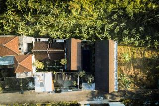 Belimbing Guest House Canggu - Canggu - 0