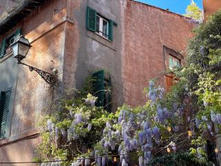 Suite La chiostrina al Cedro - Rome - 5