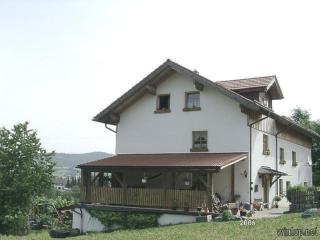 Ferienwohnung Schäfer - Rinchnach - 7