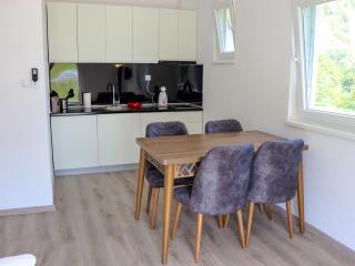 River Drina Apartments & Wellness - Bratunac - 3