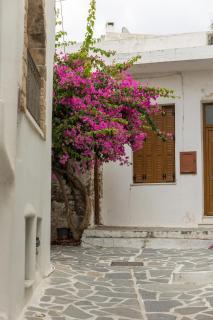 Elizabeth's small apartment - Naxos Chora - 8