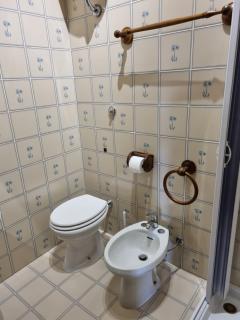 Villa Rismondo Pisa - 3