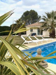 Chambre carpediem - 7