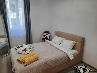 Old town Boheme Apartment - Timişoara - 4