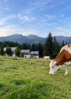 Almdorf Omlach, Fanningberg - Weisspriach - 6
