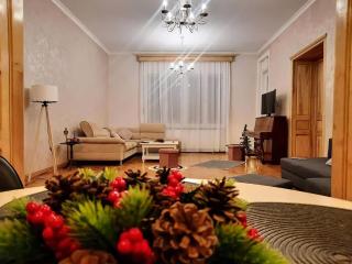 Old town Boheme Apartment - Timişoara - 1