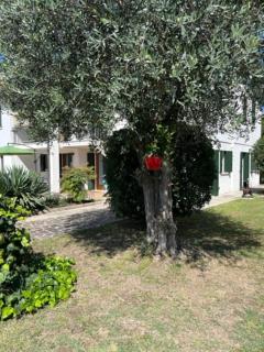 La casa di Chicca - Noventa Padovana - 2