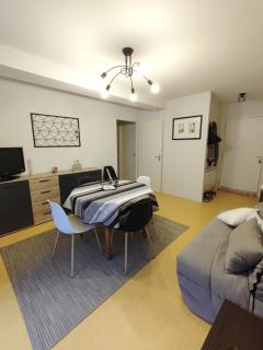 Grand appartement en RDC Vallée de Campan - Campan - 8