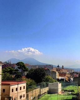 “Donna Carmela” - Naples - 7