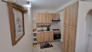 La Visite Tropicale - 5