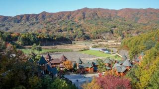 Elf Resort Hotel - 6