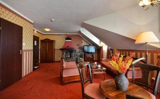 Hotel Żubrówka Spa & Wellness - Białowieża - 8