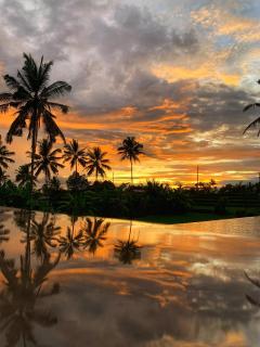 Umah Tirta - Ubud - 8
