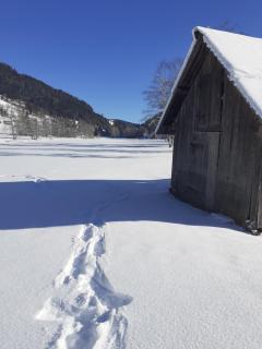 Chalet Catton Two Bedroom Appartement near Bad Kleinkirchheim - Radenthein - 5