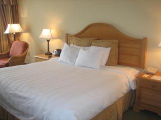 Monumental Hotel Orlando - 8