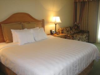 Monumental Hotel Orlando - 5
