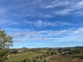 Locazione turistica Cascina Pela - Castagnole Lanze - 5