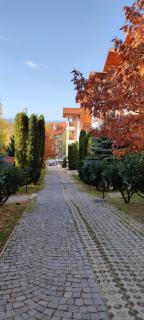 St Ivan Rilski Spa Luxury apartment Bansko & Free SPA - 8