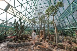 Horizon Village & Resort - 1