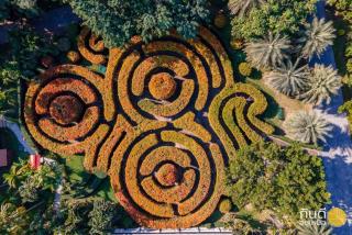 Horizon Village & Resort - Doi Saket - 8