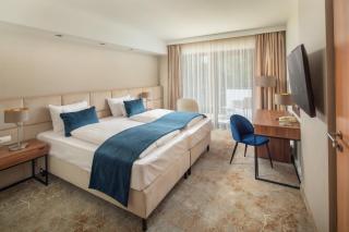 Fagus Hotel Conference & Spa - Sopron - 6