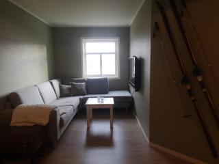 1st floor in the Lyngen Alps, whole house rentable - Lyngseidet - 1