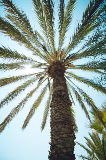 Casa del Canto, Calapanizo - 7