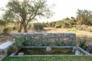 Sunbird Cottage - Graaff-Reinet - 5