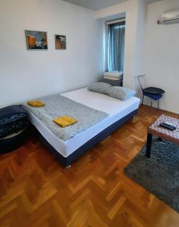 Stan na dan u centru, Inđija - Inđija - 9