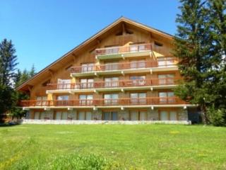 Appartement ensoleillé 3 pièces pour 6 pers au pied des pistes et proche golf - FR-1-411-685 - 9
