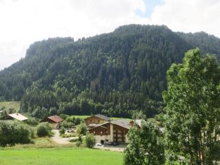 Studio confortable à Châtel - 4 pers, balcon, parking et WiFi - FR-1-198-237 - 3
