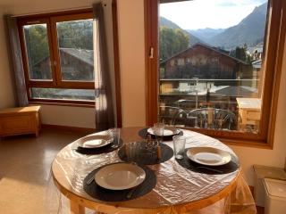 Studio 2 étoiles lumineux à 600m du centre de Morzine avec tennis privatif et navette gratuite - FR-1-679-1 - Morzine - 0