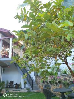 Villa Wismar Hikkaduwa - Hikkaduwa - 7