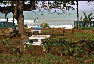 OCEAN-SI Mansion - 9
