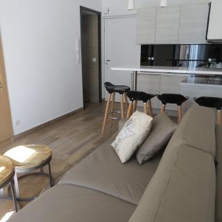 Appartement 2 Pièces Cannes Rue Hoche - Cannes - 4
