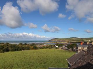 Dandre - Newport - 8