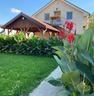 OMIS Rooms - Pančevo - 8