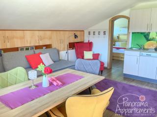 Panorama Appartement - Ramsau am Dachstein - 5