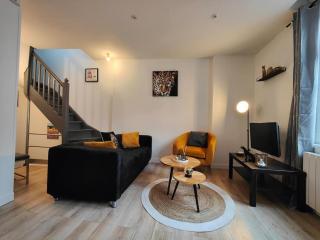 La féline - Duplex - Vieux Valenciennes - Familial - Valenciennes - 0