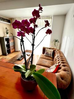 WOOD STORY - Modern 1BR Apt near city center with parking - Bucarest - 2
