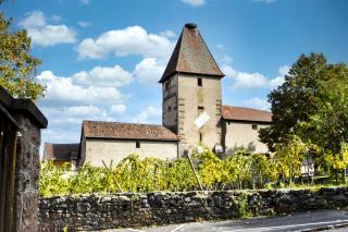 Studio lumineux en rez-de-jardin situé sur la route des vins d'Alsace - Ammerschwihr - 3