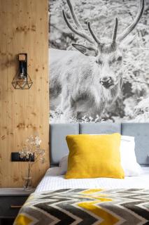 STACJA NOSAL Apartamenty - Zakopane - 5