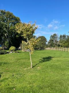 Cosy apartment with fire stove - 6